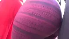 الهرات في الجوارب الذين يحبون فرك الديك