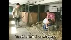 Reproducir Mujer gorda folla en el establo con 2 hombres cerca de las vacas
